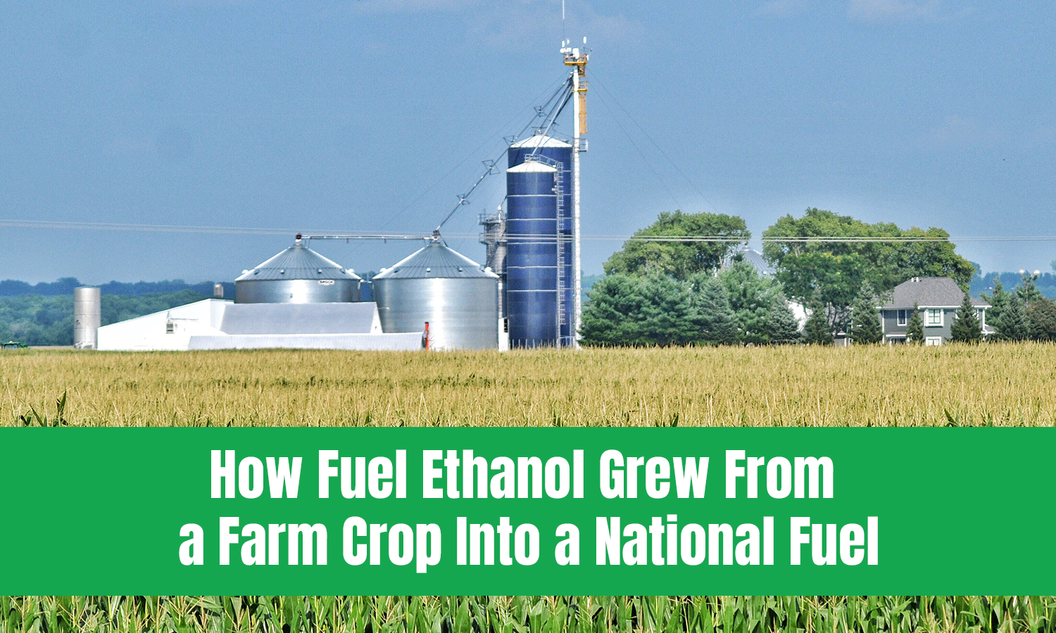 How Fuel Ethanol Grew From a Farm Crop Into a National Fuel